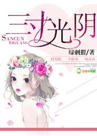 三寸光阴免费阅读