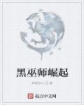 崛起巫师世界