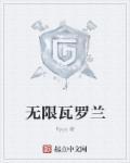 无限乱斗瓦洛兰之盾