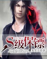 s级保镖指的是什么