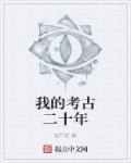 我的考古二十年 TXT
