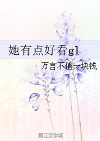 她有点好看gl40