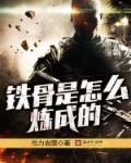 铁骨笔趣阁无弹窗顶点