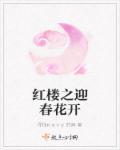 红楼之迎春的悠闲生活