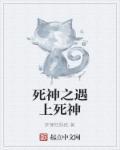 死神vs死神全人物版