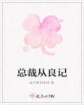 海王总裁从良记