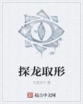 探龙结局是什么