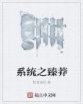 系统之尤