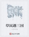 草民网 新三国
