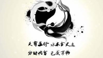 元素的概念