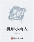 机甲小宝女主