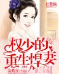 重生hi权少宠妻