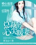 总裁的心尖暖妻全文免费