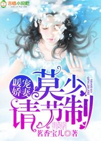 暖婚轻宠妻摸腿