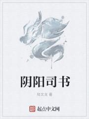 阴阳司公二十四司职能
