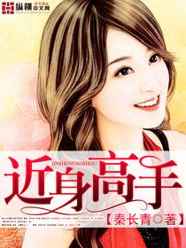 近身高手叶秋