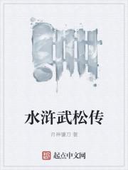 水浒武松传13集