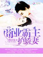赘婿霸主娇妻