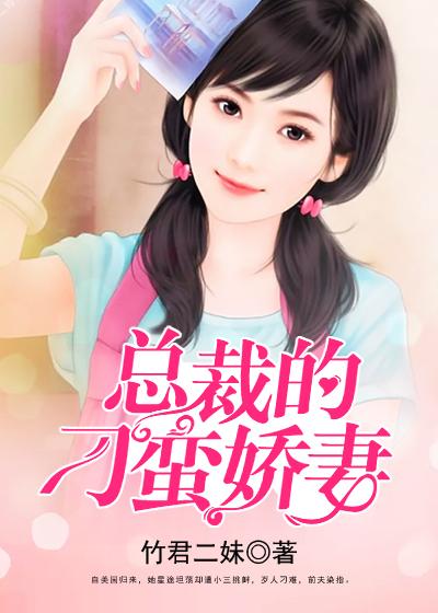总裁的娇宠小蛮妻免费阅读