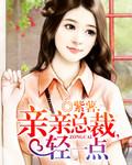 亲亲总裁轻点疼