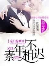 豪门惊梦iii素年不相迟全文免费