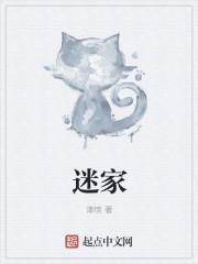 米加小镇全解锁版