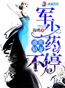 盛世军宠军长的小暖妻