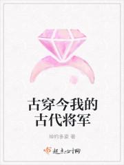 古穿今将军在上gl
