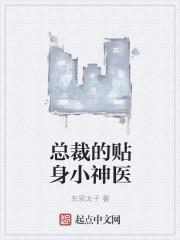 冷艳总裁的贴身神医