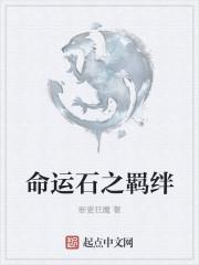 命运之石攻略隐藏点