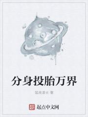 分身投胎万界百度