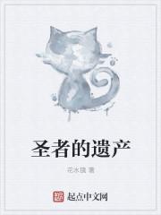 圣者遗物箱怎么买