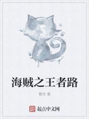 海贼之王者之路