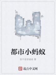 小蚂蚁能上高速吗