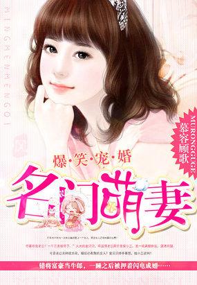 爆笑宠婚名门萌妻金贝贝