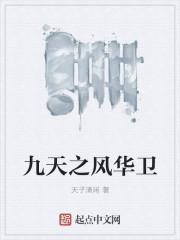九天之巅百度百科