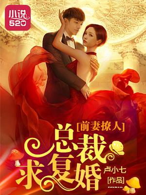 前妻总裁要复婚 作者女小貌