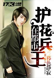 护花兵王在都市- 天线无痕