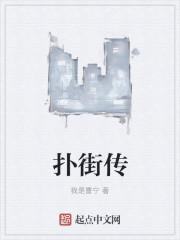 安乐传扑街