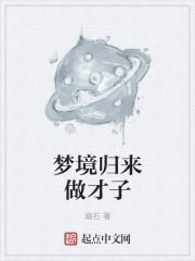 梦中归来做才子