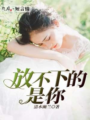 放不下的是你是什么歌名