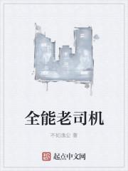 全能老司机31关