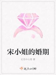 宋小姐闹离婚电视剧