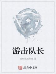 游击队长免费
