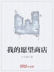 我的愿望攻略