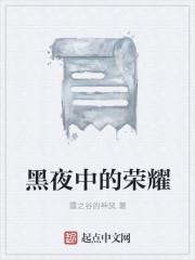 黑暗荣耀完整版