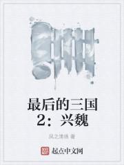 最后的三国2兴魏灭蜀