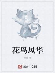 花鸟风月 歌词