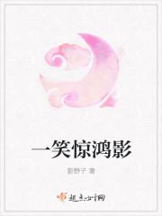 一笑千秋 夜惊鸿