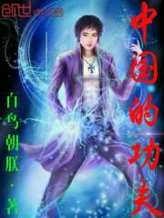 中国的功夫之都